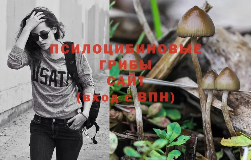 ссылка на мегу зеркало  Серов  Псилоцибиновые грибы Psilocybine cubensis 